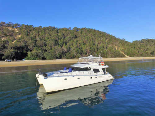 Brady 52 'Brazilian Breeze' Brady 52 'Brazilian Breeze'