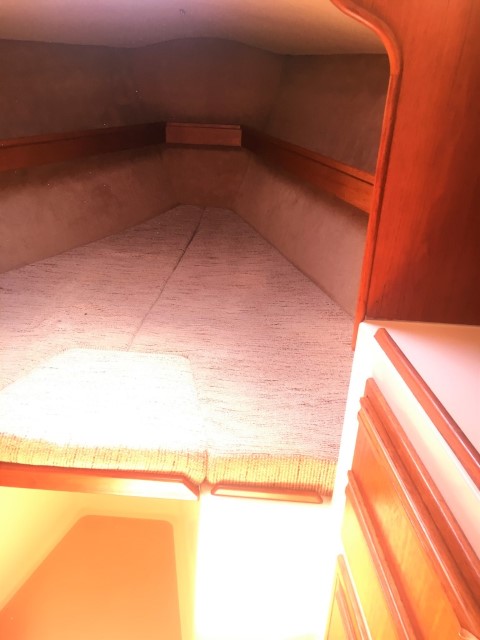 1998 Northshore 38