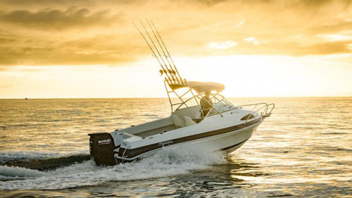 Haines Signature 545F Haines Signature 545F