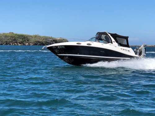2007 Sea Ray 275 Sundancer 2007 Sea Ray 275 Sundancer