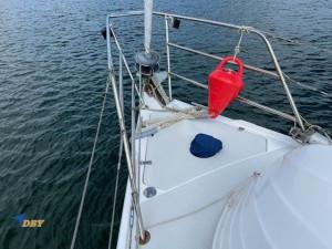 Catalina 36