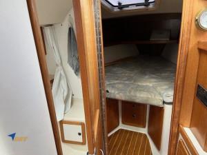 Catalina 36