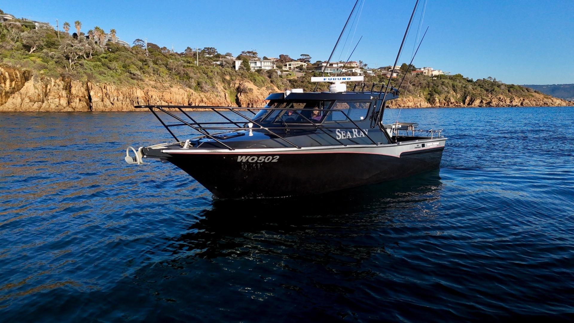 White Pointer 840 Pro Sportsman