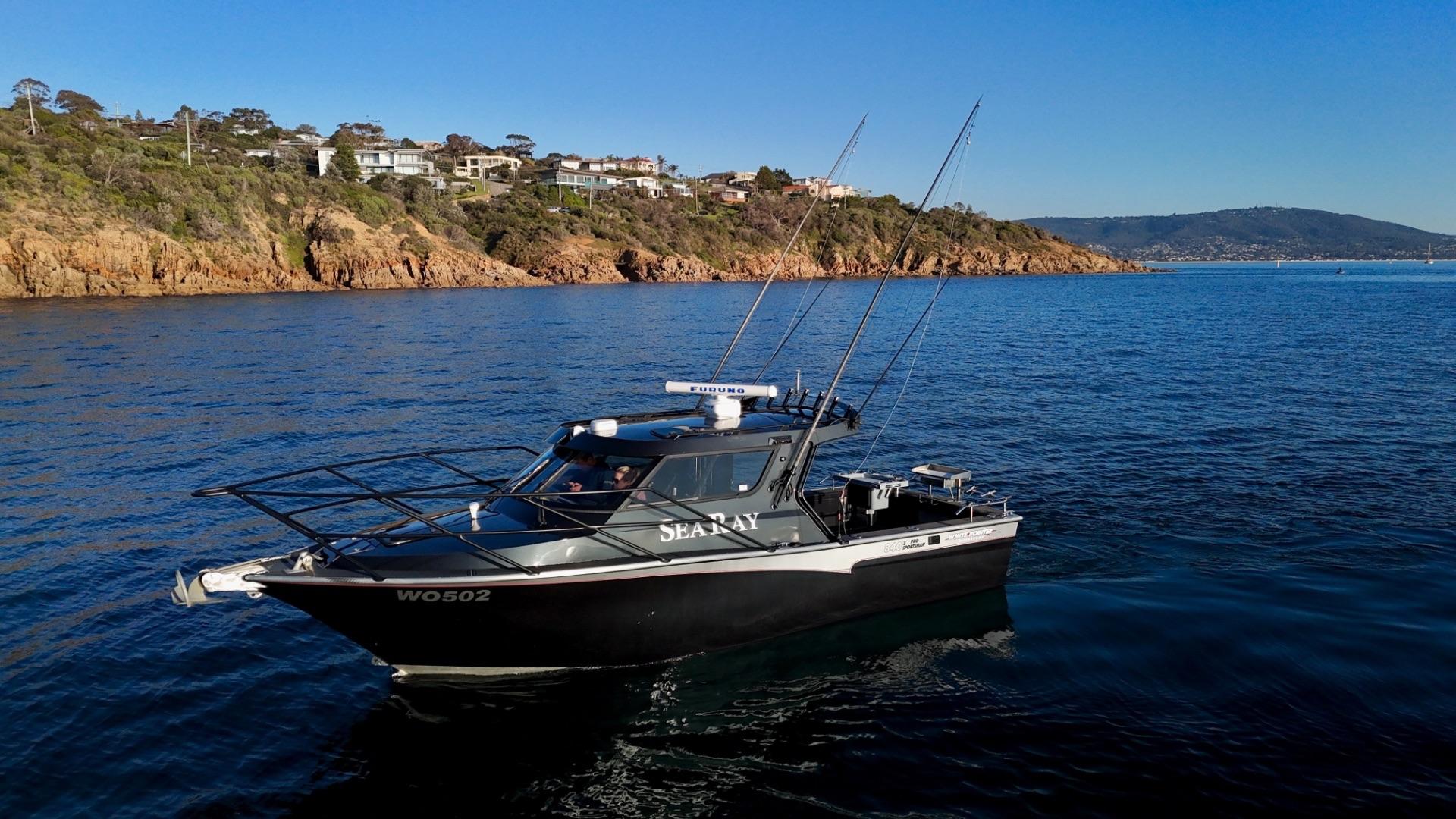 White Pointer 840 Pro Sportsman