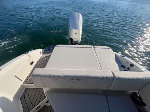 2026 SEA RAY SDX270 OB