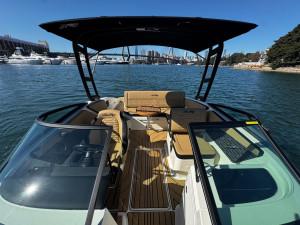 2026 SEA RAY SPX210 STERN DRIVE