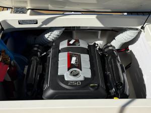 2026 SEA RAY SPX210 STERN DRIVE