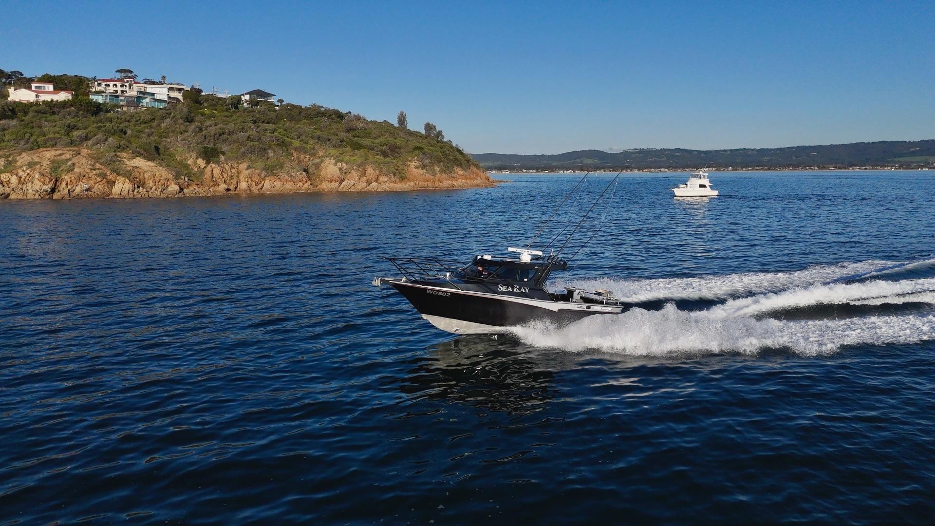 White Pointer 840 Pro Sportsman