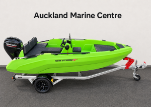 Sea Storm 14 Mercury 40hp Futura Trailer