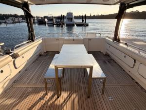 LeisureCat 3500 