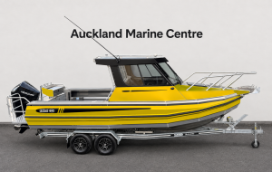 Kiwi Kraft 665 Hard Top, Mercury 200HP Outboard