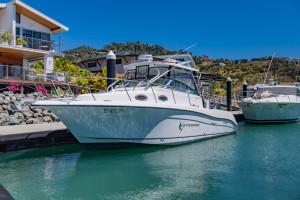 Seaswirl Striper 2901