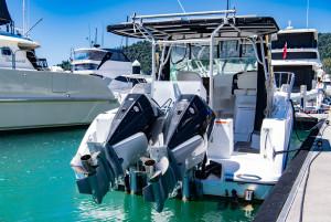 Seaswirl Striper 2901