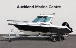 Challenger 650HT, Mercury 150HP SPECIAL OFFER