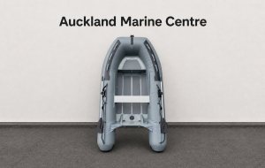 Inflatable 3.2m RIB
