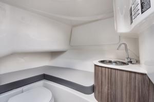 2027 Sea Ray SDX 250 OB
