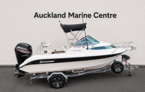 Buccaneer 495 Classic, Mercury 115hp 4 Stroke, DMW Trailer.