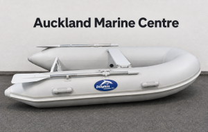 Dolphin 2.6RIB