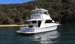 Riviera 43 Platinum