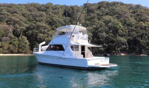 Riviera 43 Platinum
