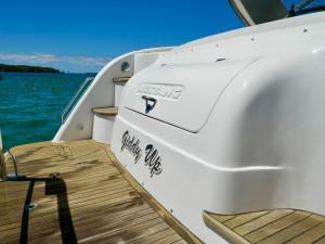 2007 Mustang 4200 Diesel Sports Cruiser 