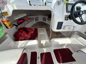 Haines Hunter 570SF Champion - 2001 Model 