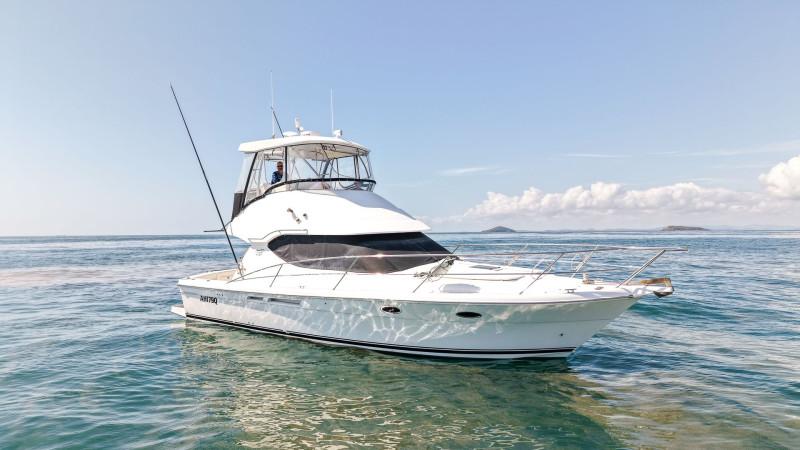 2007 MUSTANG M37 FLYBRIDGE 