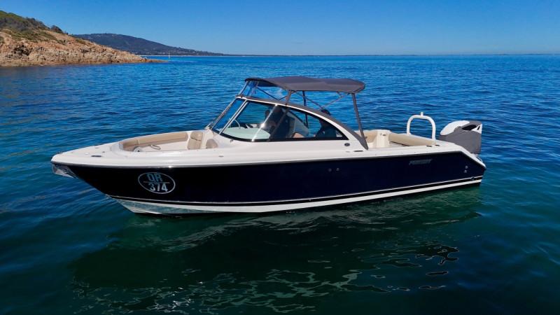 2012 Pursuit DC265