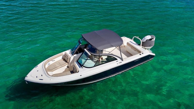2012 Pursuit DC265