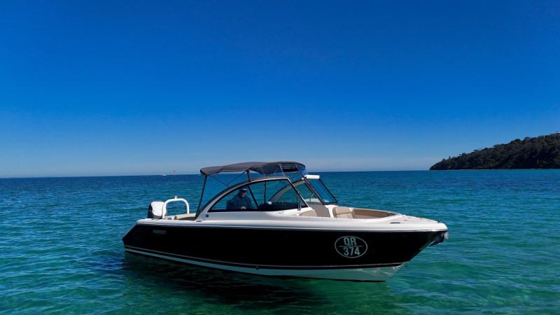 2012 Pursuit DC265