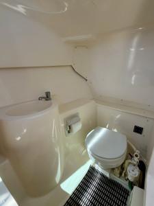 2012 Pursuit DC265