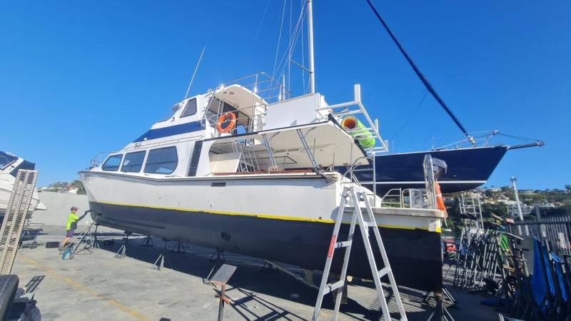 Cougar Cat 52 - Charter Boat - AMSA Survey 64 pax