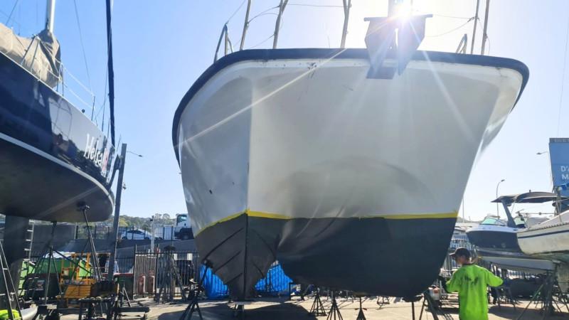 Cougar Cat 52 - Charter Boat - AMSA Survey 64 pax