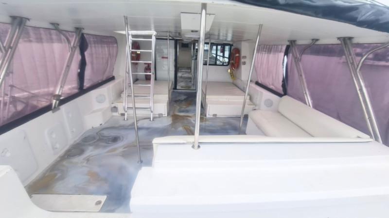 Cougar Cat 52 - Charter Boat - AMSA Survey 64 pax