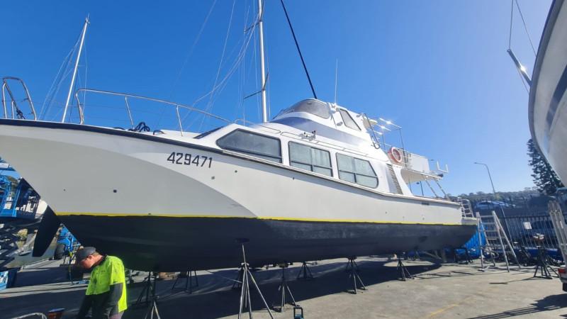 Cougar Cat 52 - Charter Boat - AMSA Survey 64 pax