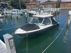 Pursuit 246 DC