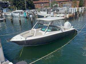 Pursuit 246 DC