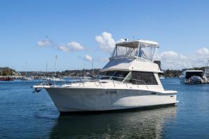 Mariner 3400 Flybridge Cruiser