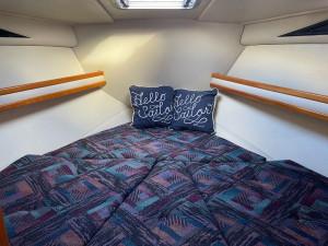 Leeder Capri 900 Flybridge