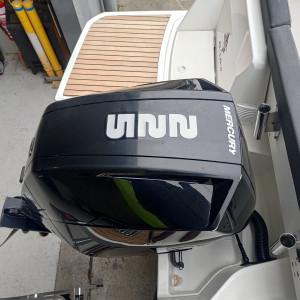 2020 Jeanneau Merry Fisher 795
