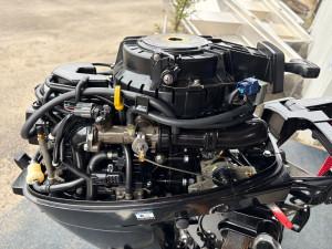 Mercury 9.9hp EFI 4 Stroke